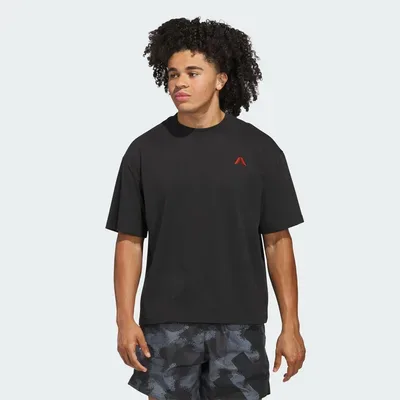 Polera anthony edwards adidas