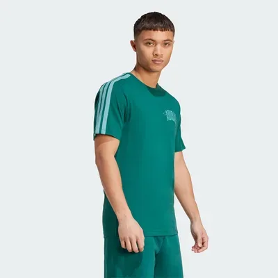 Polera graphic estampado universitario adidas