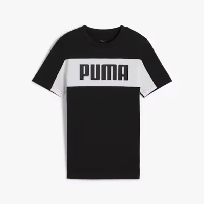 Polera ess block tee puma